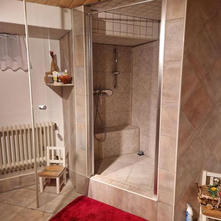 Grosses Gemuetliches Zimmer Mit Eigener Dusche Und Sauna Auf Wunsch Rheinstetten Exterior foto